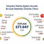 İstanbul’da şubat ayında portakal ve domates zirvede 