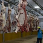 Kasapların tercihi Büyükşehir Mezbahası