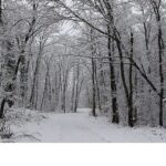 Ormanya’da kartpostallık kış görünümleri